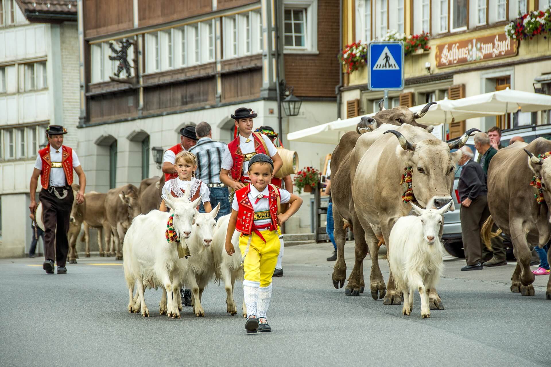 Swiss Culture and Traditions: Heidi, Yodeling, Muesli, & More