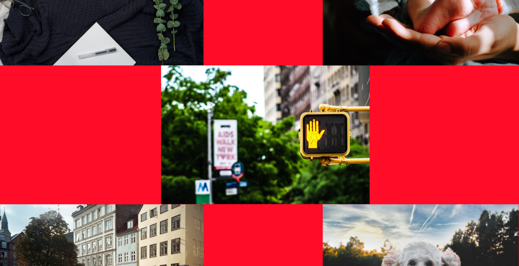 8 Swiss Laws You Should Know Of Studying in Switzerland