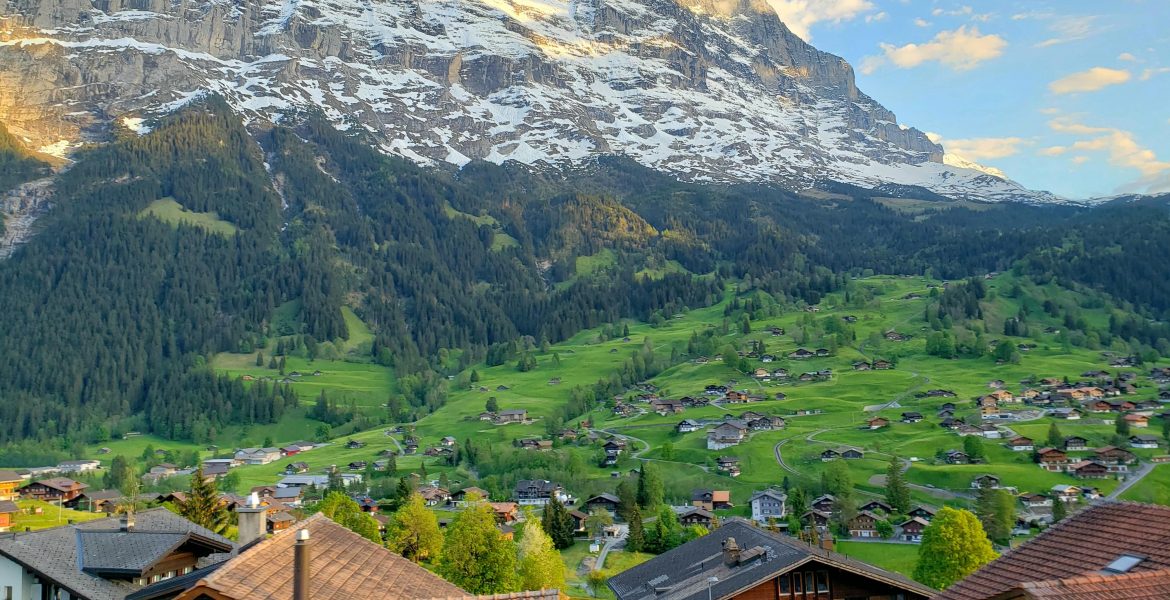In switzerland? what are beauty standards the Beauty Standards