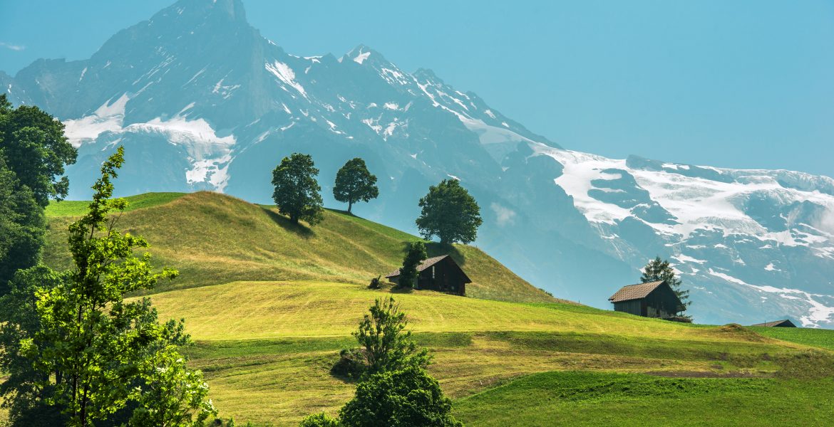 15 Best Things To Do in Winterthur, Switzerland Studying in Switzerland