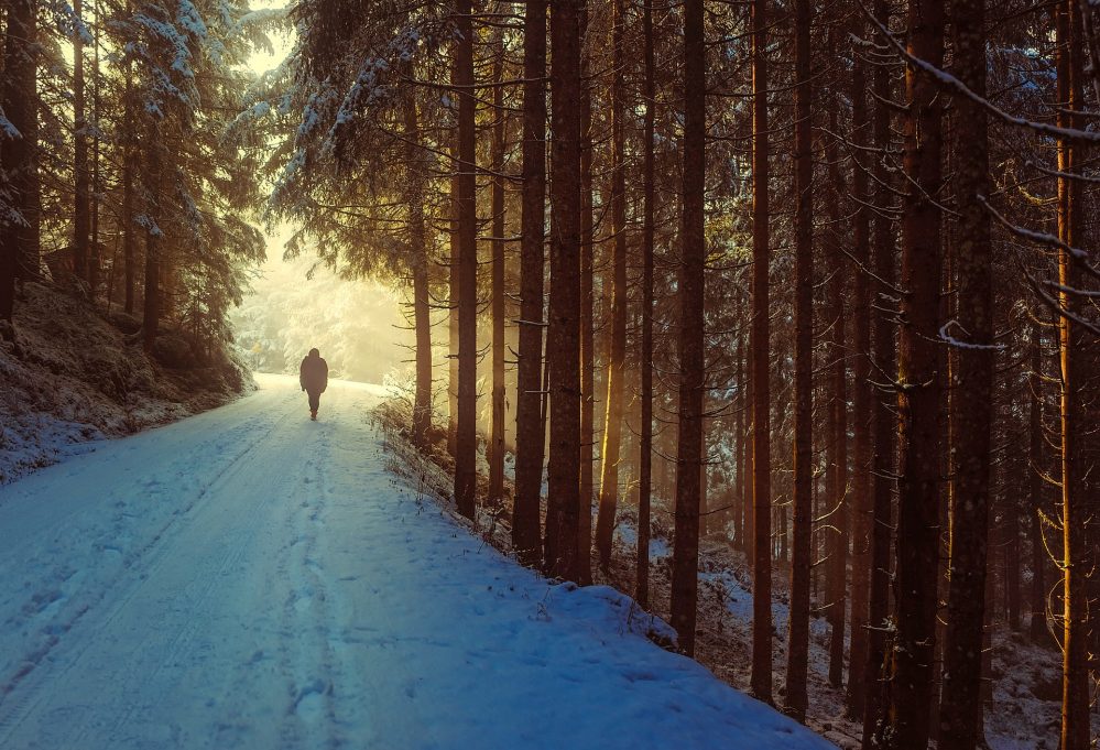 trek-out-for-a-snowy-hike