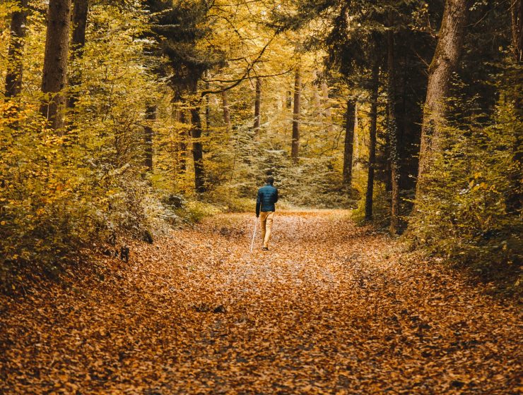 fall-in-switzerland