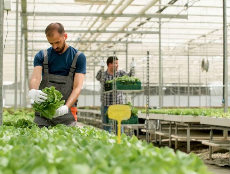 is-agricultural-chemicals-a-good-career-path