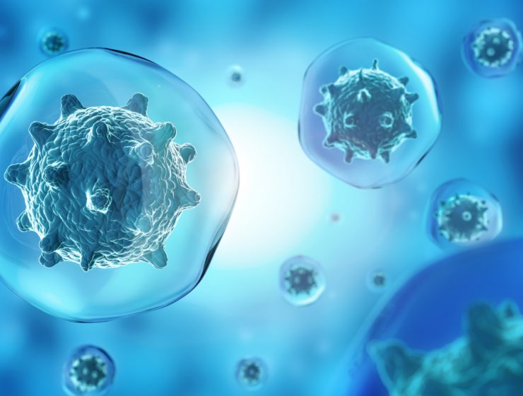 what-can-you-do-with-a-biology-degree