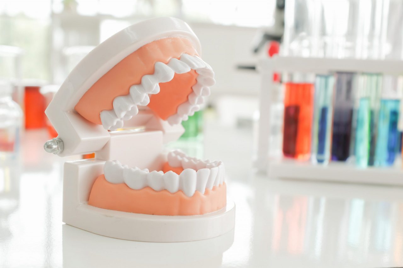 How To Become a Dental Hygienist: Everything You Should Know