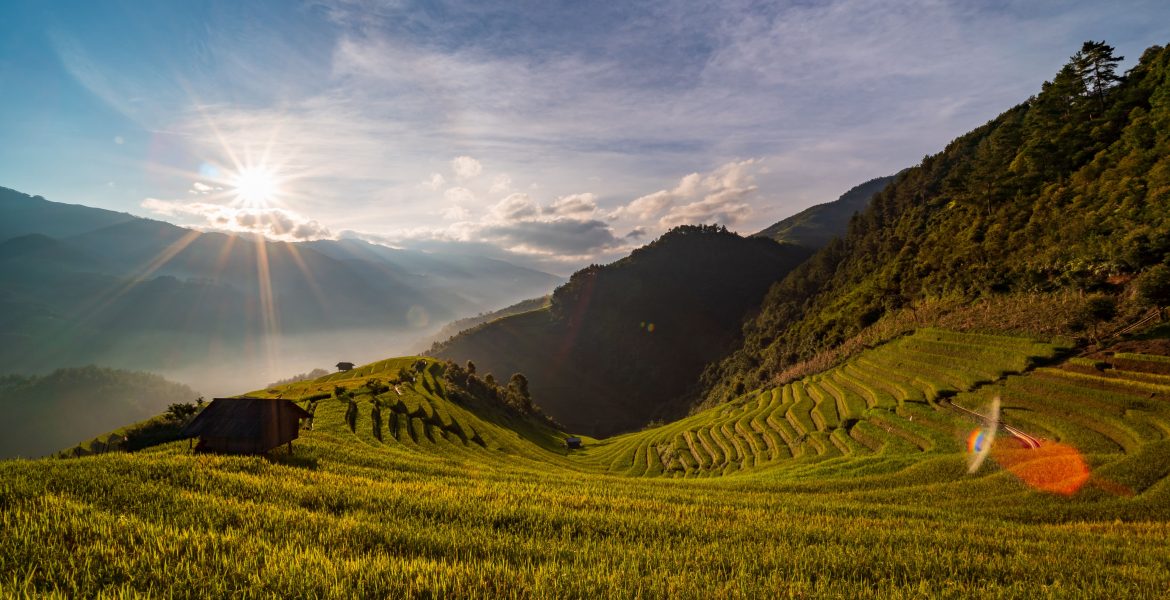 getting-an-agriculture-degree