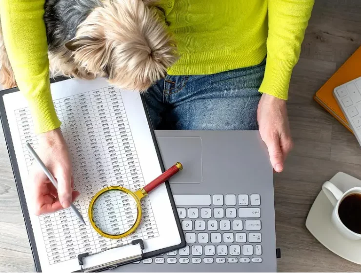 grammar-tools-and-apps